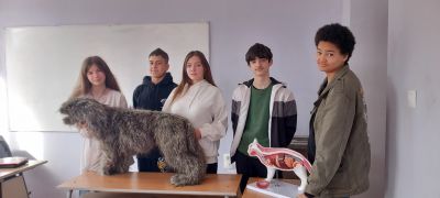 Професия Ветеринарен лаборант 1