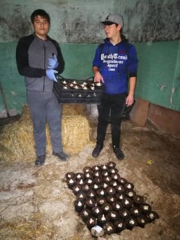 ДЕН НА ОТВОРЕНИТЕ ВРАТИ - Професионална гимназия Д-р Стамен Григоров - София