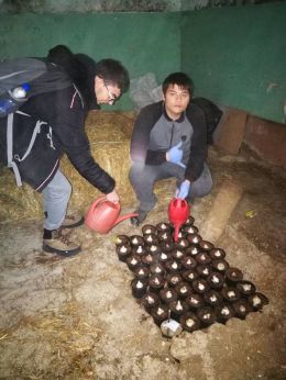 ДЕН НА ОТВОРЕНИТЕ ВРАТИ - Професионална гимназия Д-р Стамен Григоров - София